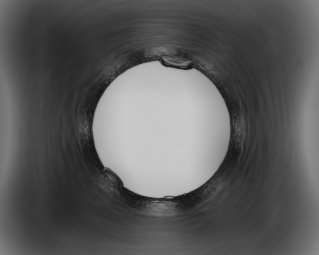 X0000083530617200703021554