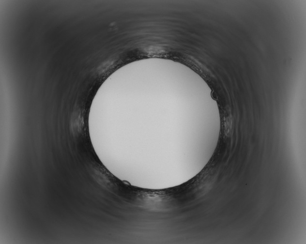 X0000083530618200703021554