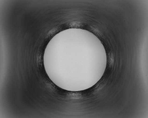 X0000083530619200703021554