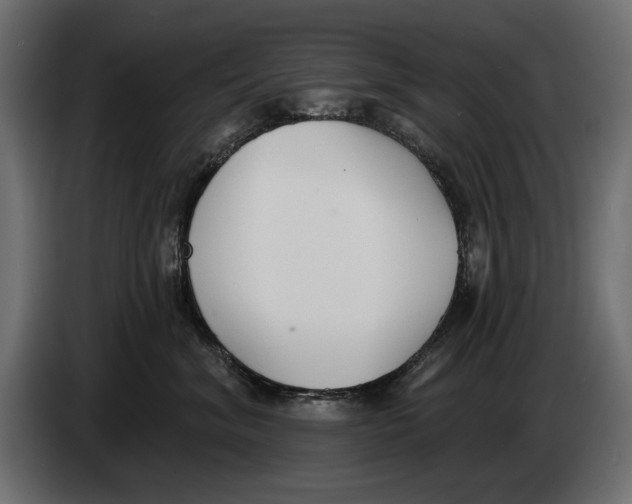 X0000083530620200703021554