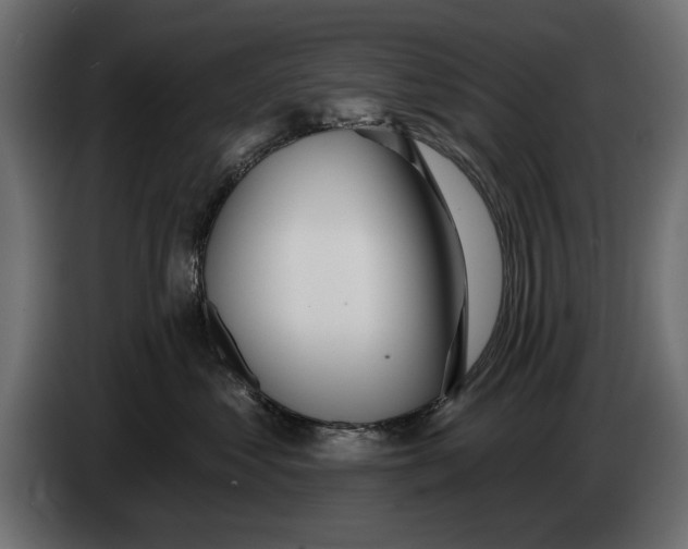 X0000083530621200703021554