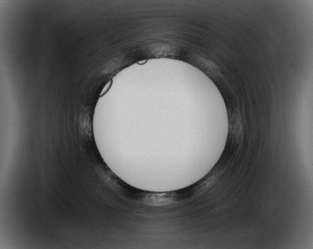 X0000083530622200703021554