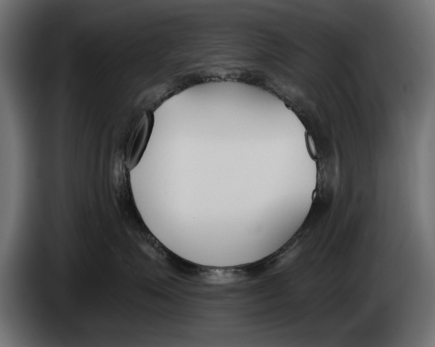 X0000083530623200703021554