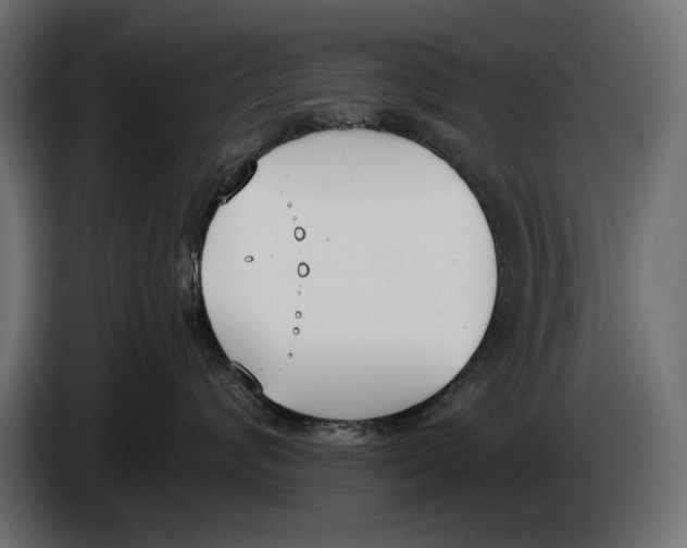 X0000083530624200703021554