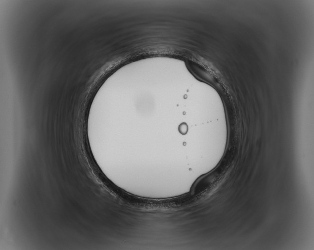 X0000083530625200703021553