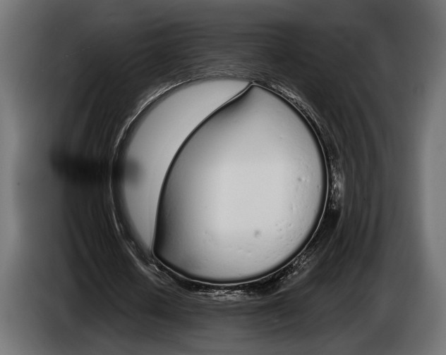 X0000083530626200703021553