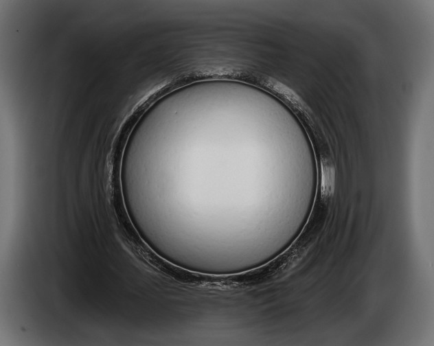 X0000083530627200703021553