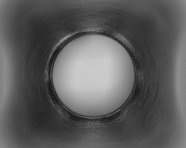 X0000083530628200703021553