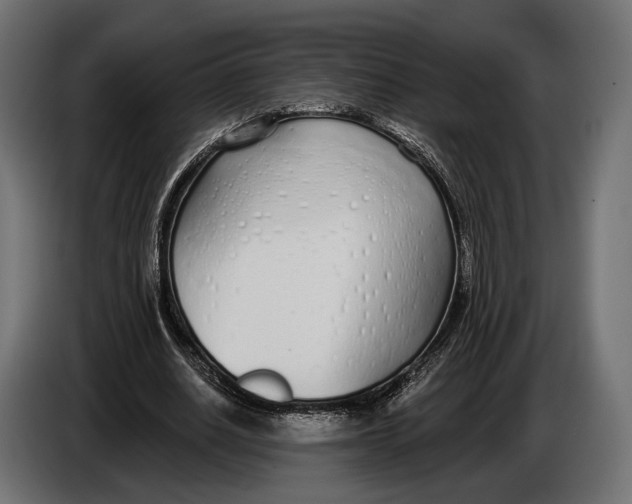 X0000083530630200703021553