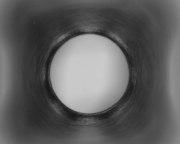 X0000083530631200703021553