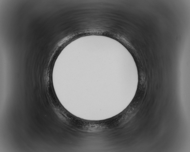 X0000083530632200703021553