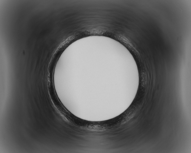 X0000083530634200703021553