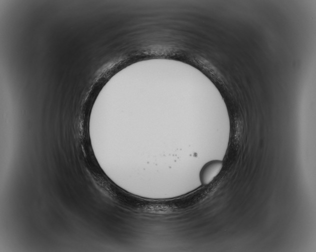 X0000083530636200703021553