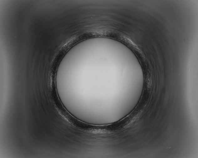 X0000083530637200703021553