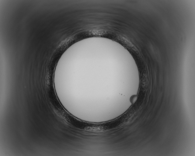 X0000083530639200703021553