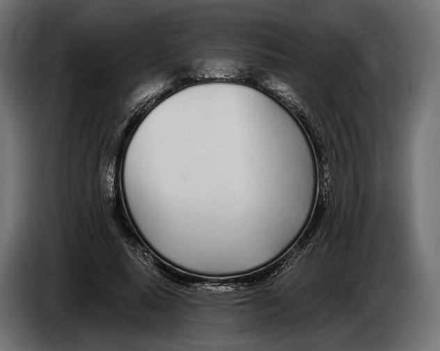 X0000083530640200703021553