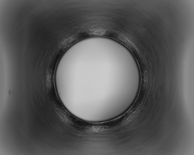 X0000083530641200703021553