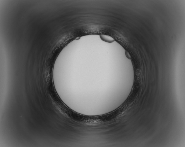 X0000083530642200703021553