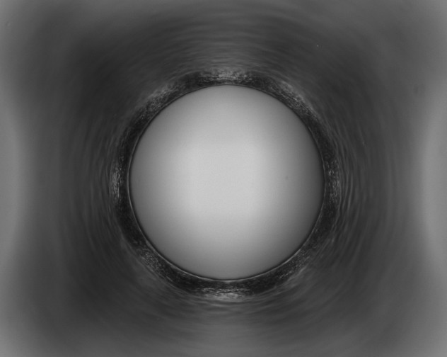 X0000083530643200703021553