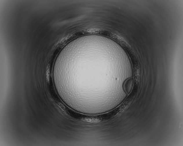 X0000083530644200703021553