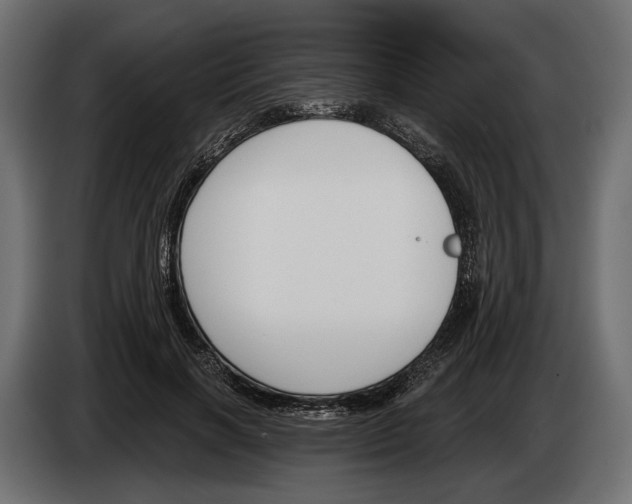 X0000083530646200703021553