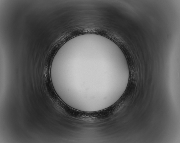 X0000083530648200703021553