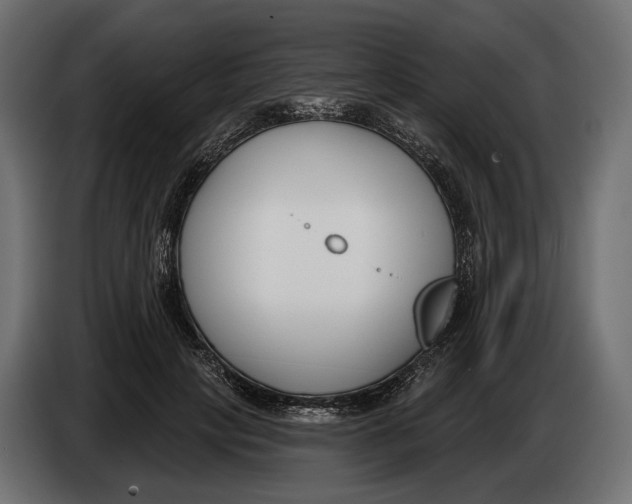 X0000083530649200703021553