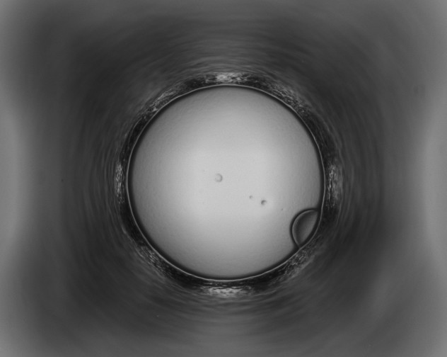 X0000083530650200703021553