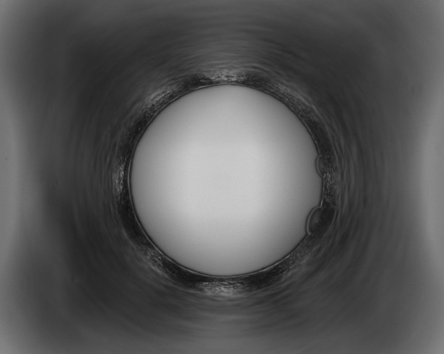 X0000083530652200703021553