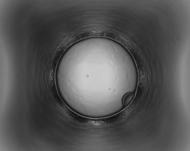 X0000083530654200703021554