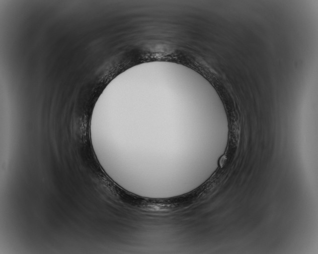 X0000083530657200703021554