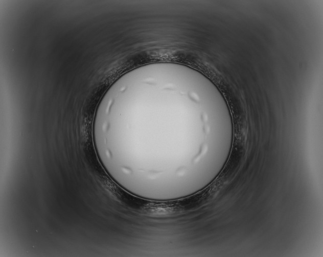 X0000083530658200703021554