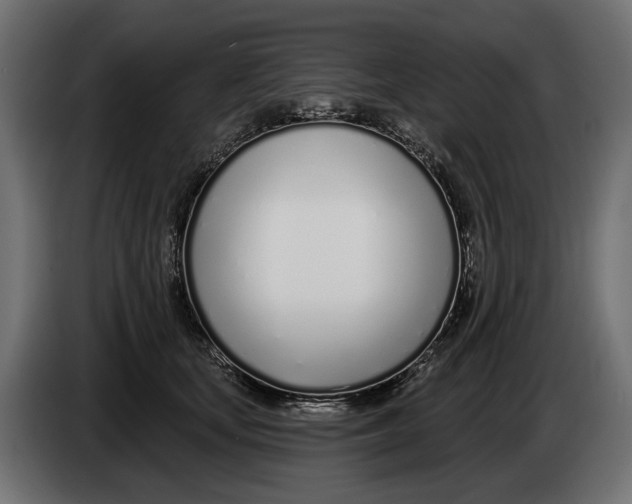 X0000083530659200703021554