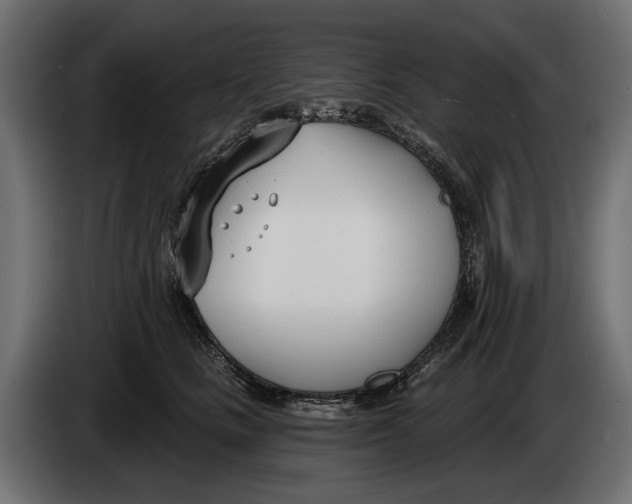 X0000083530661200703021554