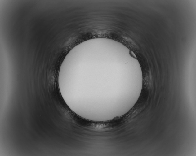 X0000083530662200703021554