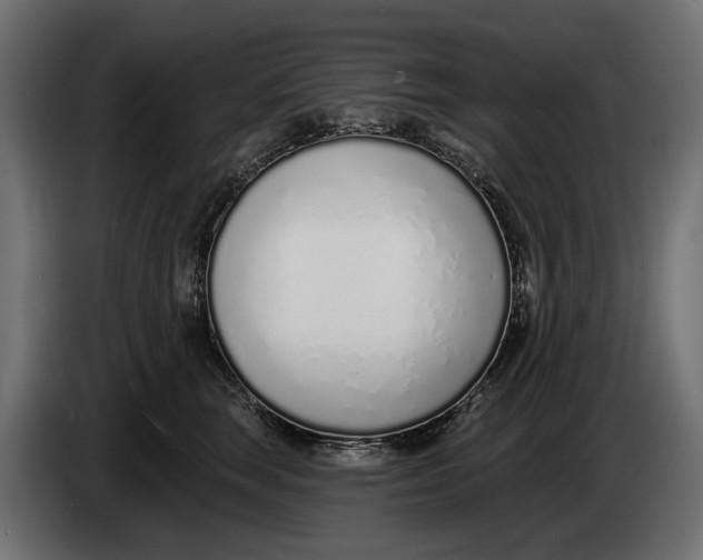 X0000083530663200703021554