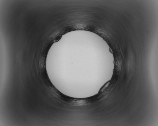 X0000083530665200703021554