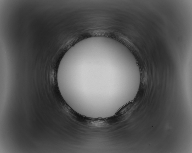 X0000083530669200703021554