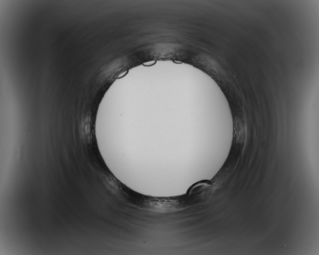 X0000083530670200703021554