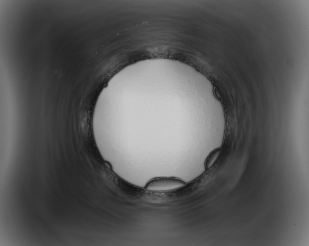 X0000083530671200703021554