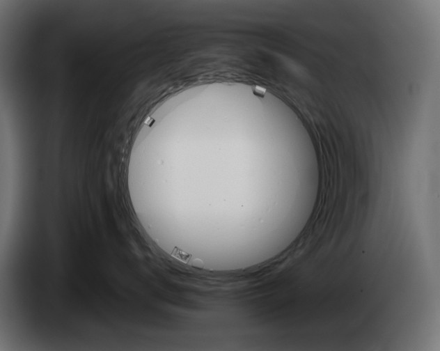 X0000083530672200703021554