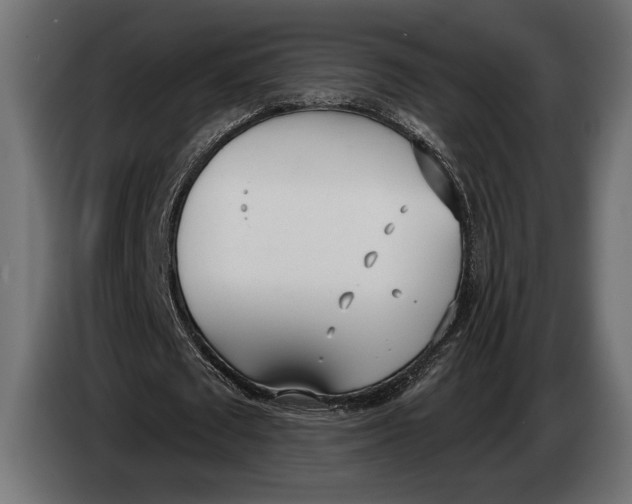 X0000083530673200703021553