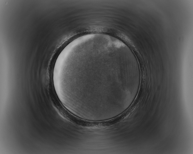 X0000083530674200703021553