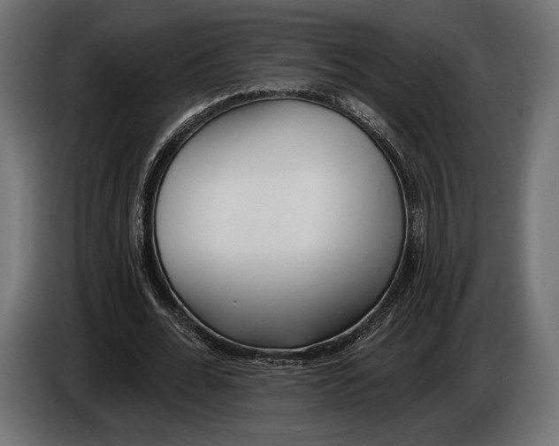 X0000083530676200703021553