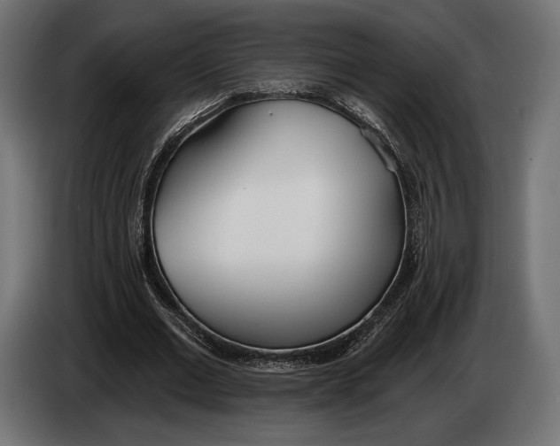 X0000083530677200703021553