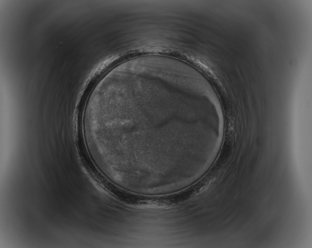 X0000083530678200703021553