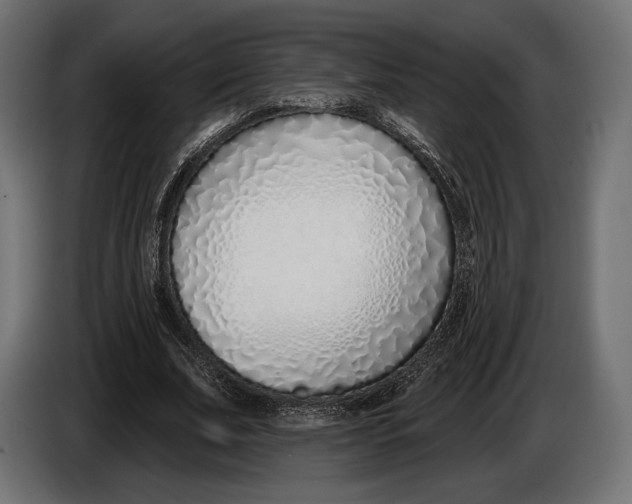 X0000083530679200703021553