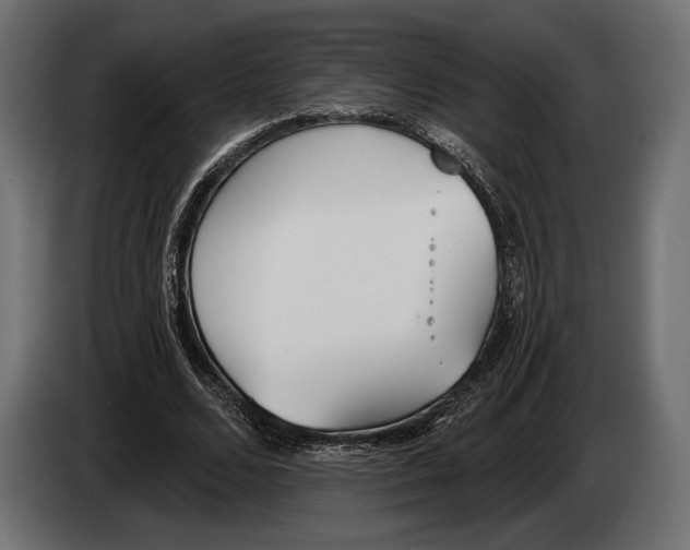 X0000083530680200703021553