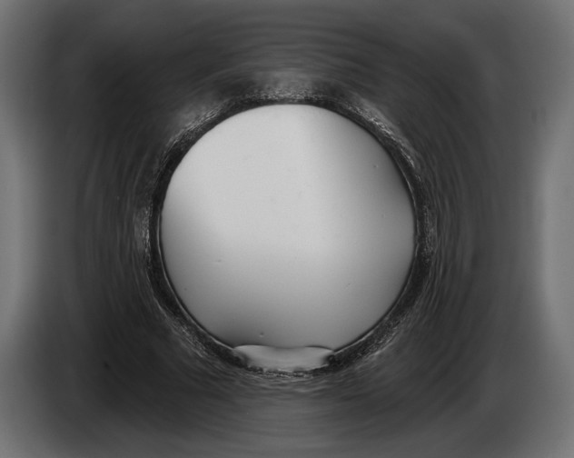 X0000083530681200703021553