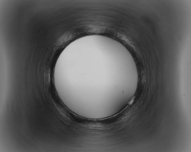 X0000083530685200703021553